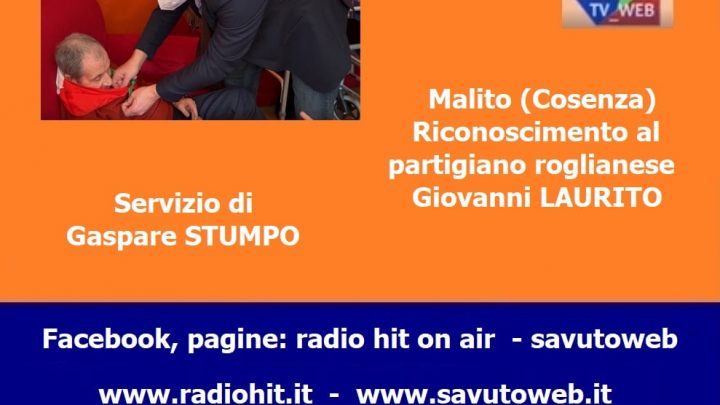 TV_WEB