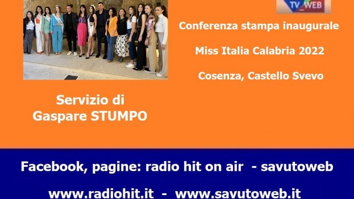 TV_WEB